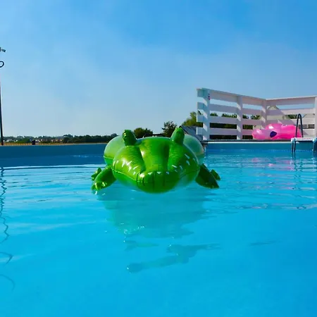 Apartment Skrawek Raju