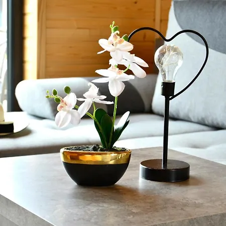 Daire Skrawek Raju Sarbinowo